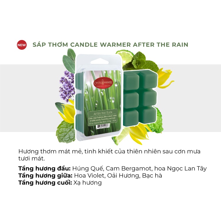 Sáp thơm Candle Warmer từ Yankee Candle - After The Rain