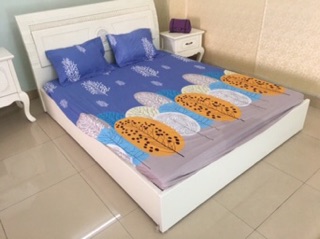 Sét ga gối M8
