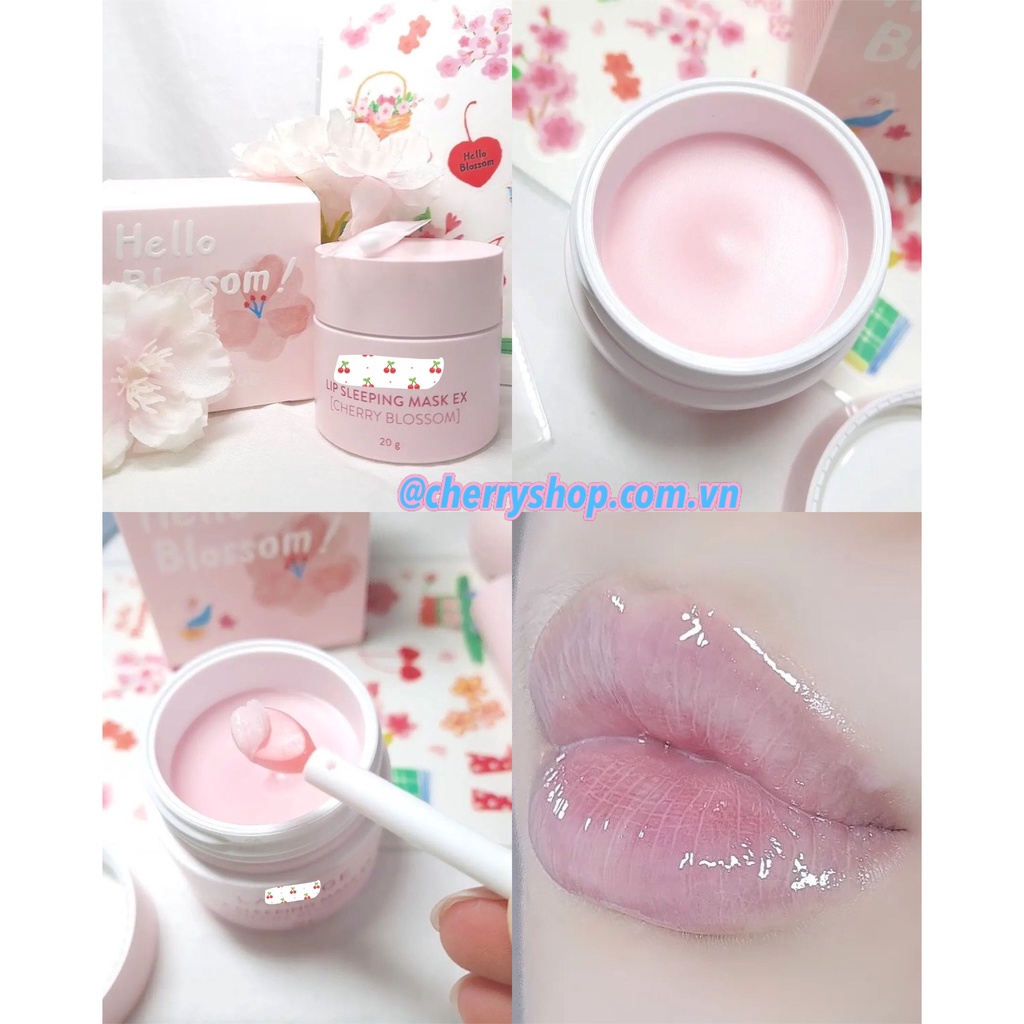 Set mặt nạ ngủ môi Lan..eige Lip Sleeping Mask Ex [ Cherry Blossom ]