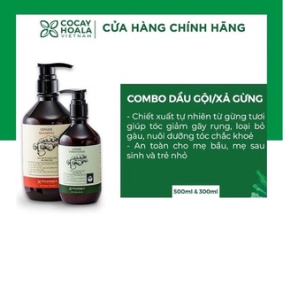 Combo Dầu gội và dầu xả gừng tươi nguyên chất 100%