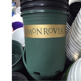 Chậu Monrovia, chậu hoa hồng 7 Gallon siêu đẹp hang nhap khau   thích hợp trồng hồng chậu bao gồm đĩa lót