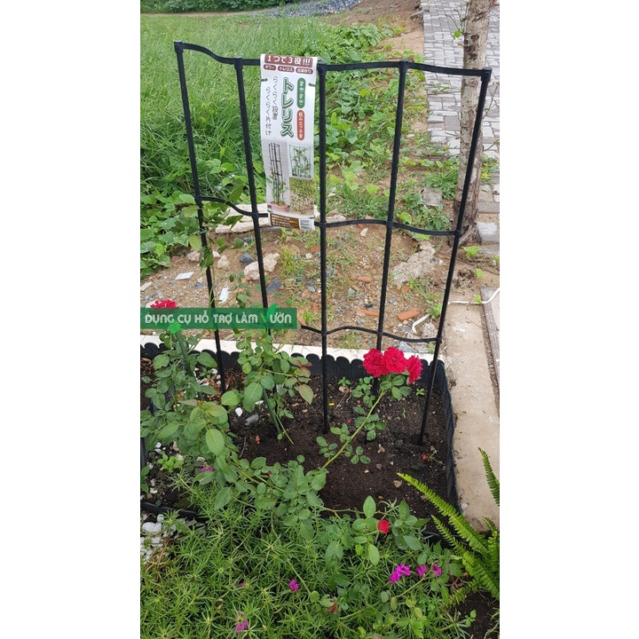 Giàn leo trồng cây, rộng 60 cao 120cm, giá đỡ cây trồng, khung trồng hoa