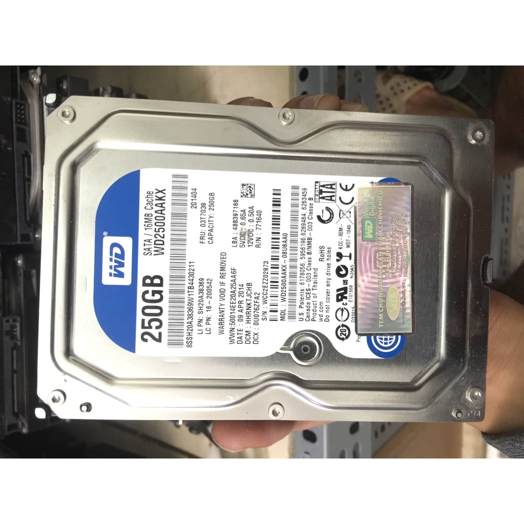 Ổ cứng HDD 250Gb 3.5 hàng chính hãng. sức khỏe good 100%