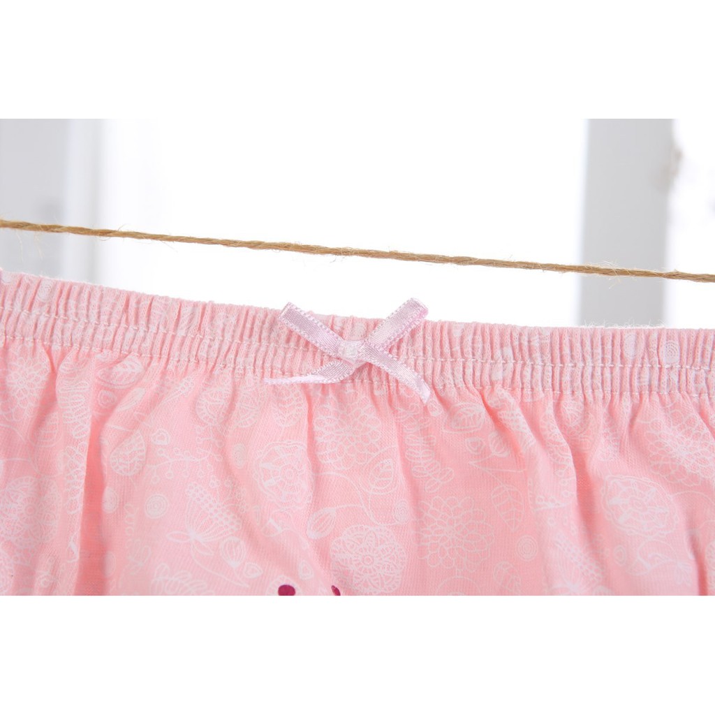[Tổng Hợp 2] Set 5 quần lót bé gái Hàn Quốc 100% vải cotton thoáng mát, an toàn cho sức khỏe của trẻ em