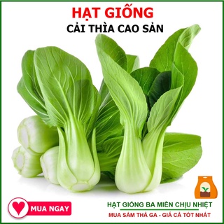 20 Gram - Hạt Giống Cải Thìa Thượng Hải