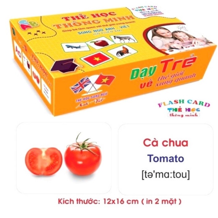 Thẻ học thông minh chủ đề song ngữ chuẩn Glenn Doman (loại to) (giao 1 chủ đề ngẫu nhiên)