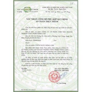 Bột chùm ngây sấy lạnh bổ dưỡng
