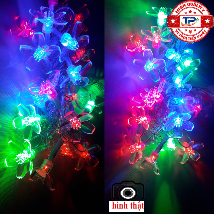 Dây đèn Led bông hoa Mai dài 3.5m nháy nhiều màu trang trí Cây Cảnh, Gia Đình, Quán, Noel... Chúc Mừng Năm Mới tết 2024