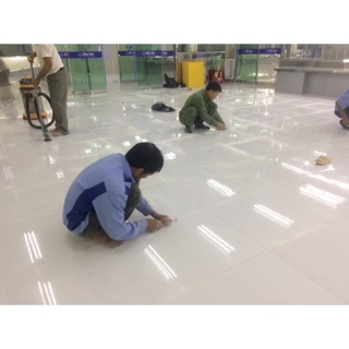 Dao cạo sàn ( Sủi cạo sàn, dũi cạo sơn) cán inox