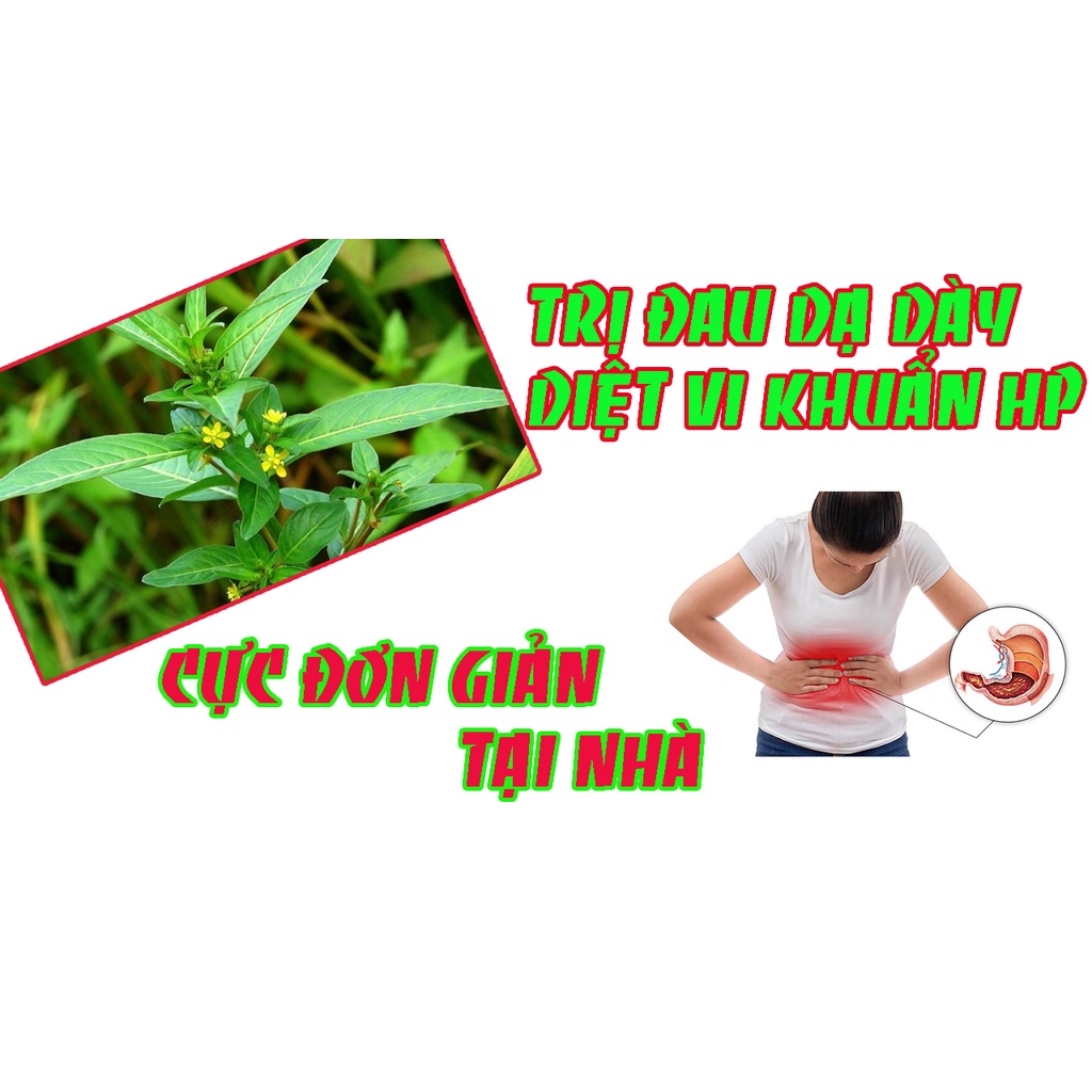Cây Rau Mương [1KG] Hàng sạch đẹp loại 1