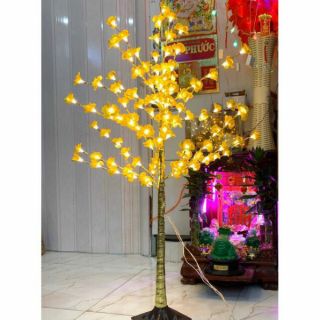 Hoa mai hoa đào đèn led siêu đẹp