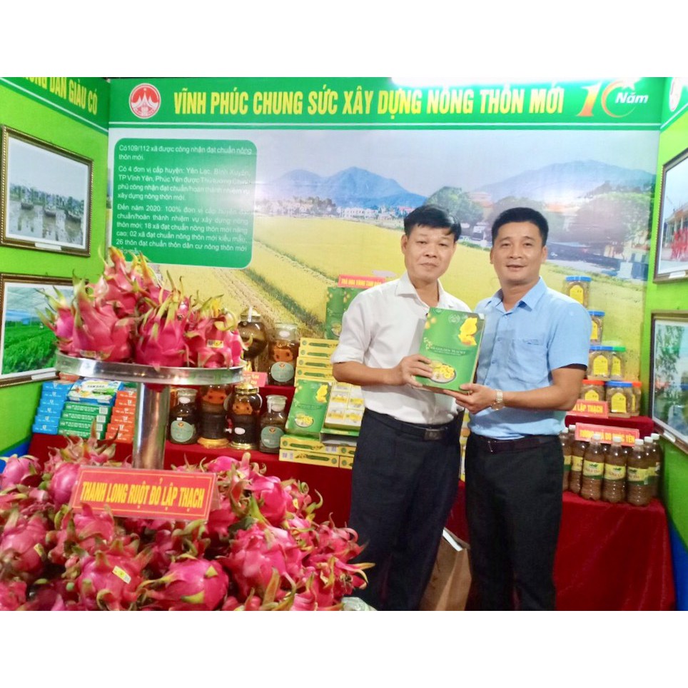 trà túi lọc trà hoa vàng | BigBuy360 - bigbuy360.vn