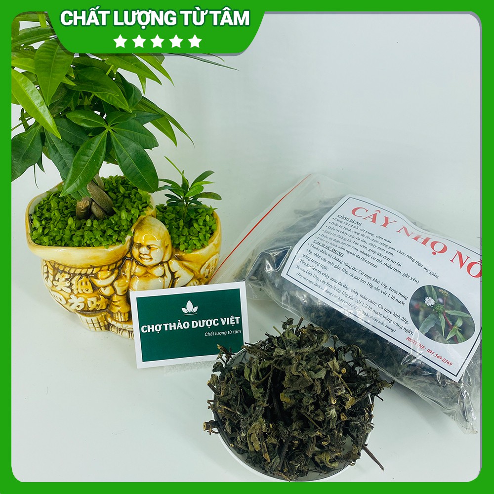 500g Nhọ Nồi (Khô, Sạch, Đẹp)