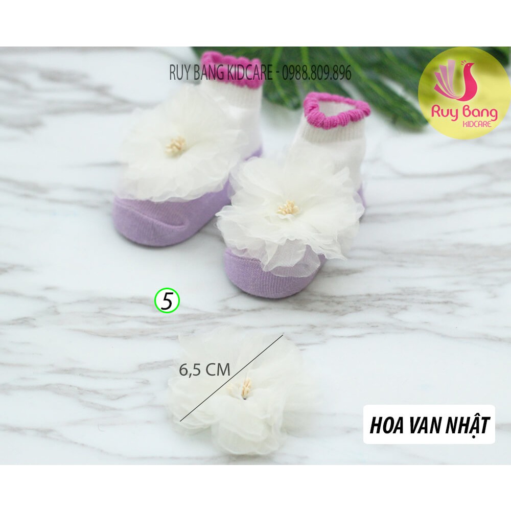 Hoa voan nhật