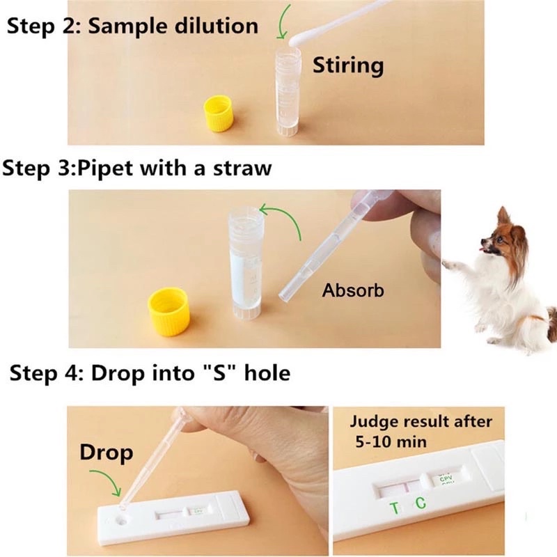 1 Que test bệnh PARVO hoặc CARE cho chó (CPV CDV)