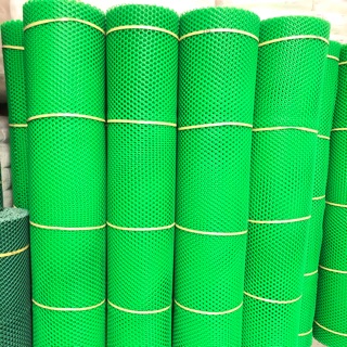 Dzung Lưới HN & HCM