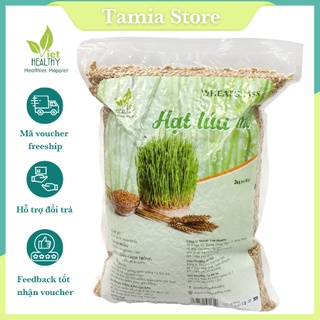 Hạt giống cỏ lúa mì Viethealthy Túi 3kg| Việt healthy| Cỏ lúa mì