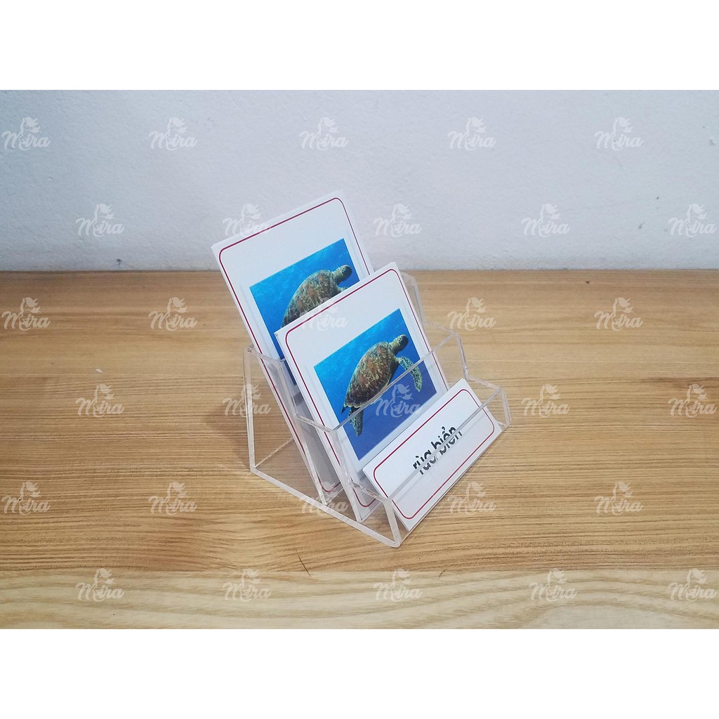 Thẻ 3 phần gọi tên các giai đoạn trong vòng đời của Rùa biển Tiếng Việt - Giáo cụ Montessori - Mira Toys