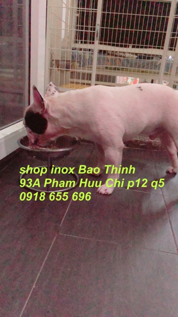 Đế ăn đôi kèm bát cao 15cm -bát 20cm
