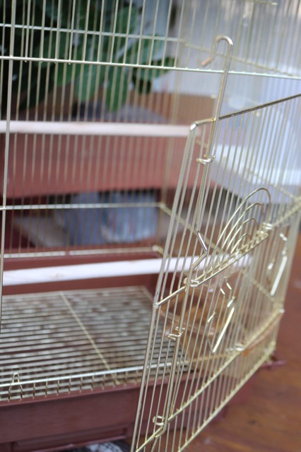 Lồng vẹt mạ vàng