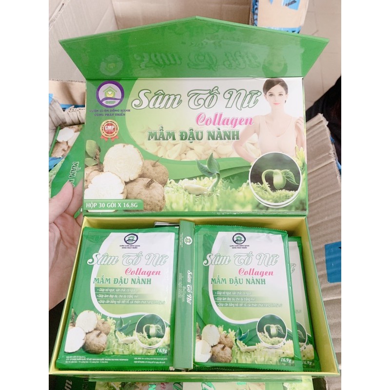 SÂM TỐ- NỮ ĐẬU NÀNH | BigBuy360 - bigbuy360.vn