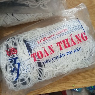 Lưới bóng chuyền xi Toàn Thắng Cực Đẹp