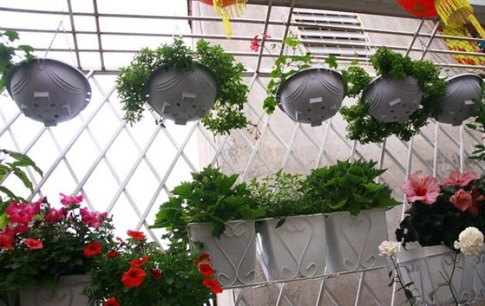 Bộ 5 chậu nhựa chảo treo dây sắt trồng hoa màu trắng đường kính 28cm