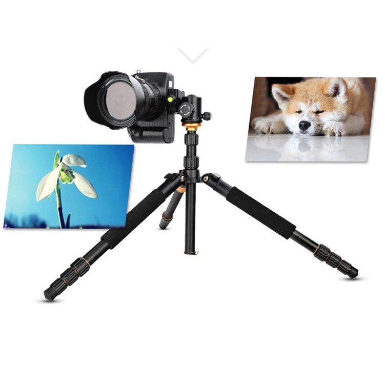 Chân máy ảnh Tripod/ Monopod Beike Q-999S