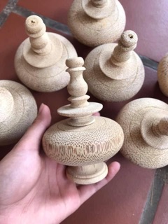 QUẢ NẬM TRE