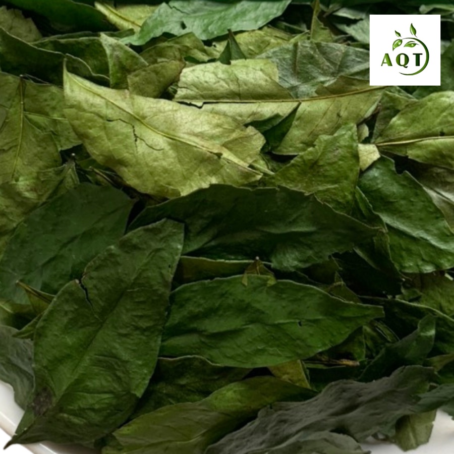 1KG Lá Mắc Mật Sấy Lạnh Quay Heo (Cực Thơm), Lá Móc Mật Khô Lạng Sơn Dùng Cho Món Vịt - Gà Quay Siêu Ngon