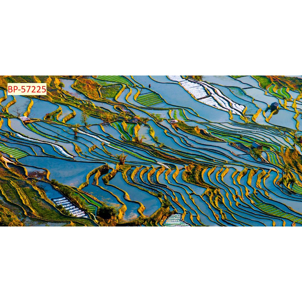 Tranh dán tường tổng hợp địa danh Việt Nam 3D in theo kích thước yêu cầu – Không giới hạn kích thước.