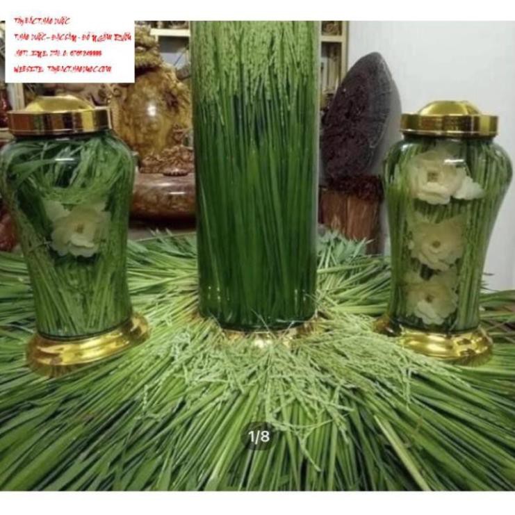 1kg Đòng đòng lúa nếp