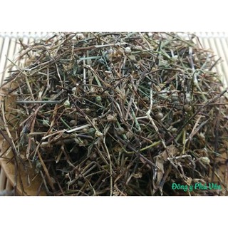 Bạch Hoa Xà Thiệt Thảo - Ngăn ngừa u bướu, Điều trị Ung thư