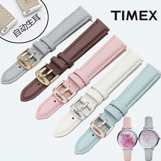 Dây đeo TIMEX TIMEX cho đồng hồ đeo tay 14 / 16 / 18mm