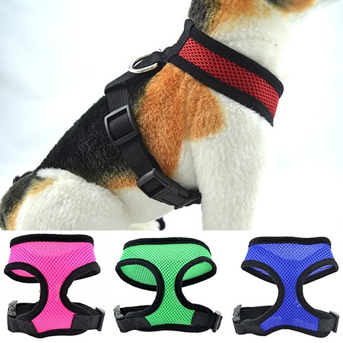 Áo Lưới Mềm Mại Cho Thú Cưng