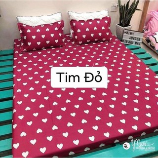 set ga gối poly cottong 3 món