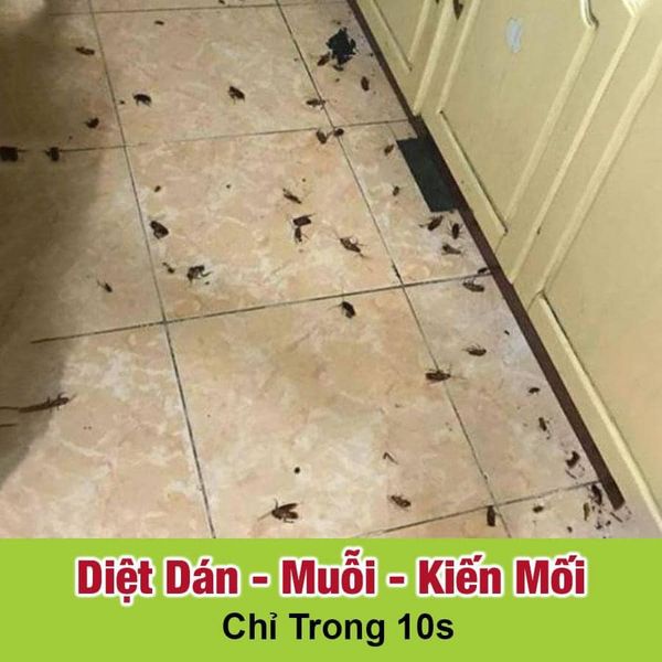 [Kèm quà ] Bình xịt diệt côn trùng  Muỗi Kiến Gián  Sinh Học 100% THẢO MỘC 10S - An toàn hiệu quả được bộ Y tế cấp phép