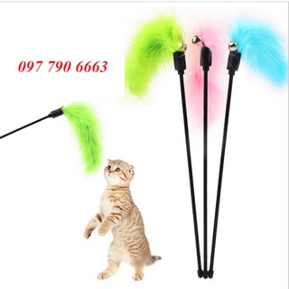 Cần câu đồ chơi cho mèo