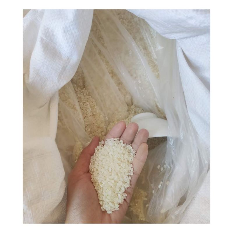 Gạo Tẻ Sén Cù Tây Bắc [10kg]
