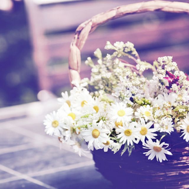 TaHiShop, Cửa hàng trực tuyến | BigBuy360 - bigbuy360.vn