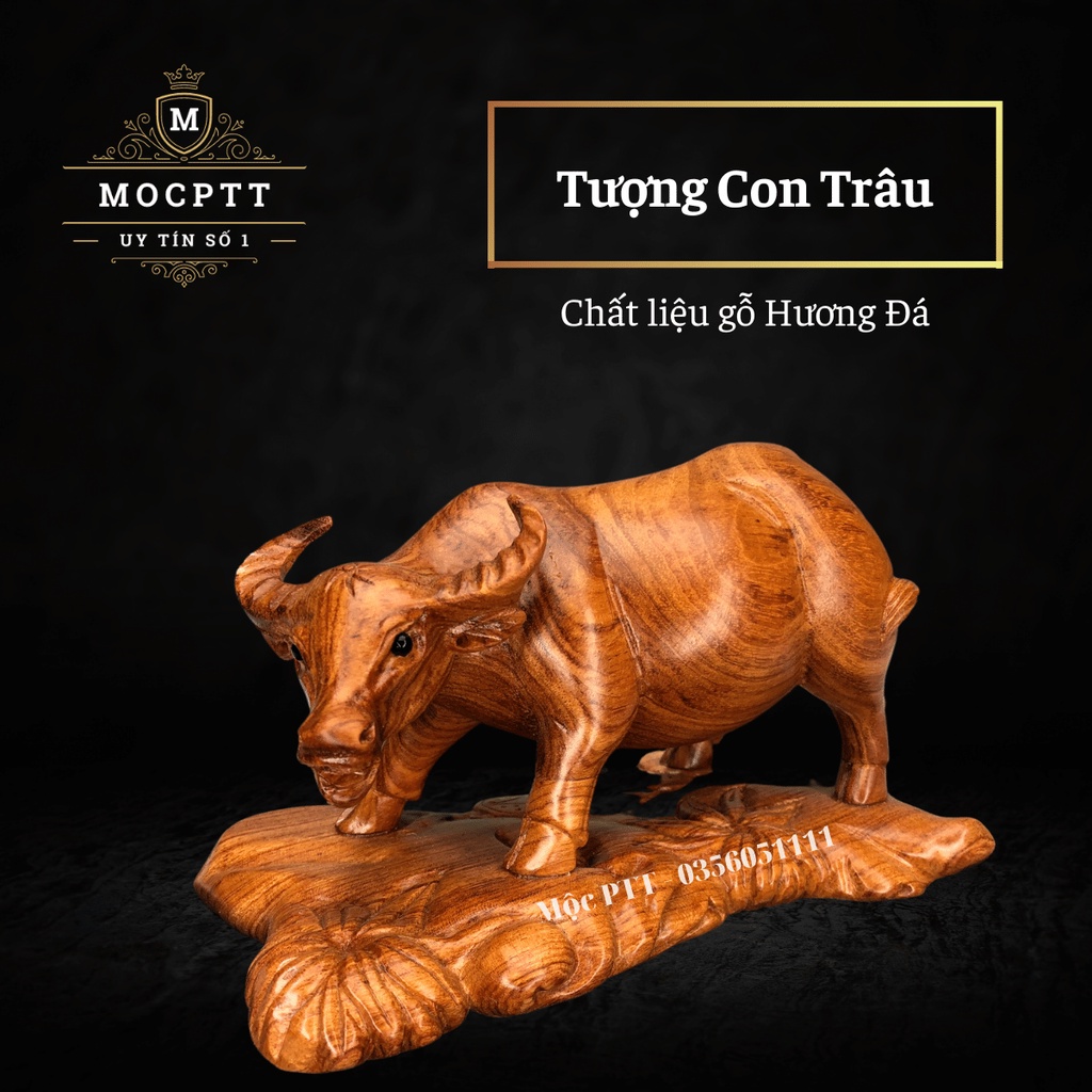 Tượng Con Trâu gỗ Hương Đá kích thước Rộng 20 30 35 Cm CG02
