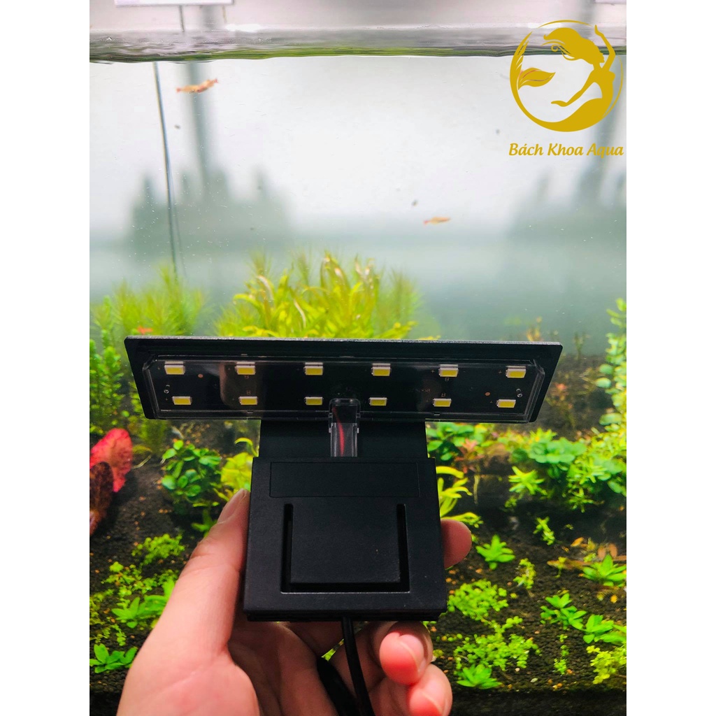Đèn Led kẹp X3/X5/X9 cho bể cá thủy sinh