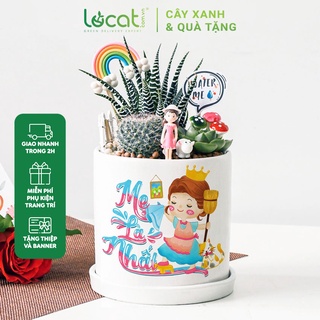 Cây Để Bàn LỌ CÁT Sen Đá Và Xương Rồng Trồng Chậu Sứ 11cm Quà Tặng Mẹ