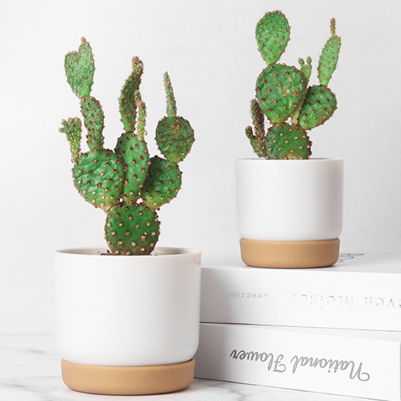 Chậu Trồng Cây Mọng Nước Bằng Nhựa Giả Gốm Sứ Cỡ Lớn / Nhỏ Độ Bền Cao