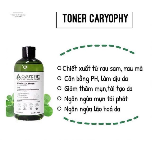 TONER GIẢM MỤN CARYOPHY PORTULACA 3 IN 1 300ML HÀN QUỐC NHẬP KHẨU CHÍNH HÃNG - 4221