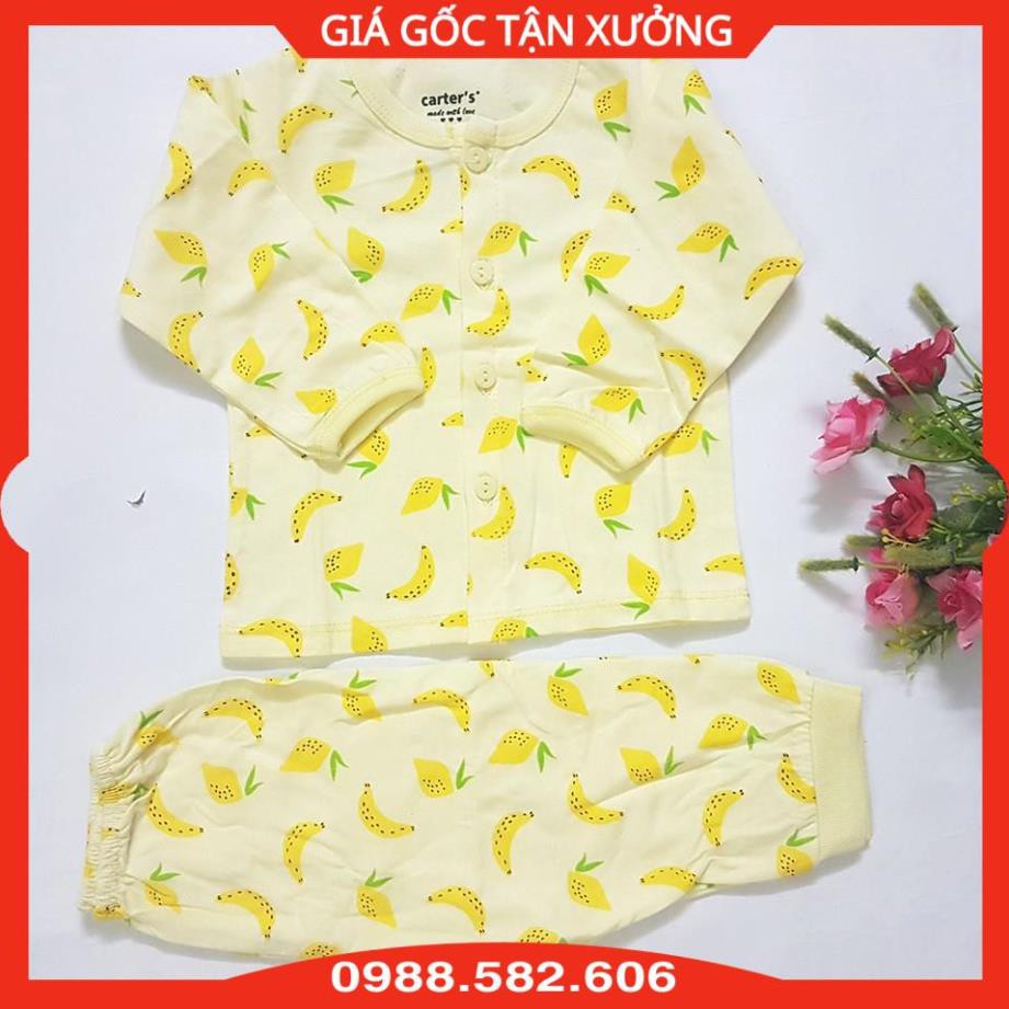 Combo 3 Bộ Quần Áo Dài Tay Cho Bé Carter In Hình (Màu Sắc Lựa Chọn Theo Giới Tính)