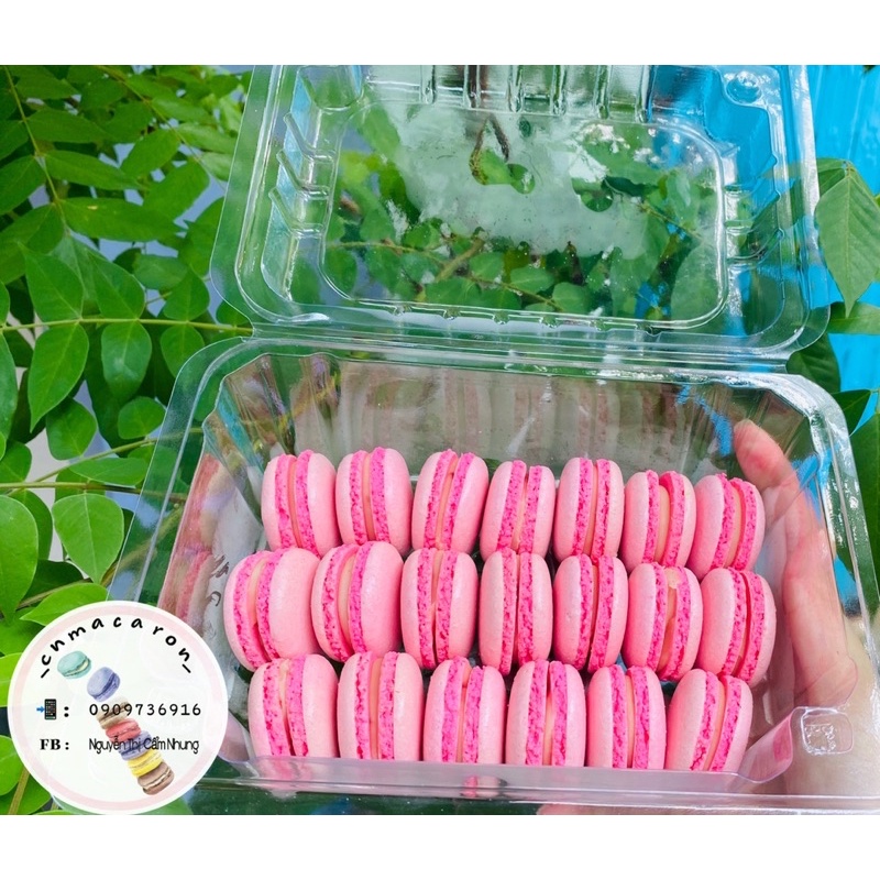 Bánh macaron lớn