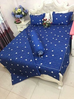Bộ cotton poly trần phủ