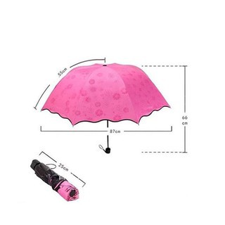 Ô dù  ☔☔ ma thuật gặp nước nở hoa ☔☔