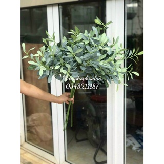 Cành Lá Dài - Cắm Điểm- Cành Lá Oliu giả 10 nhánh